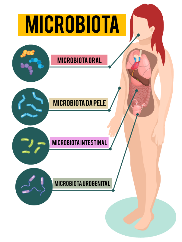 Cuide Bem Do Seu Intestino Microbiome Nutrition 6542